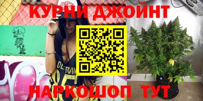 Альфа ПВП Кимры