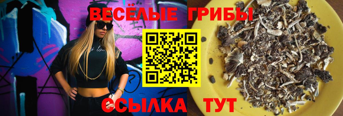 Псилоцибиновые грибы GOLDEN TEACHER  Вход с VPN  Галлюциногенные грибы MAGIC MUSHROOMS  Гурьевск 